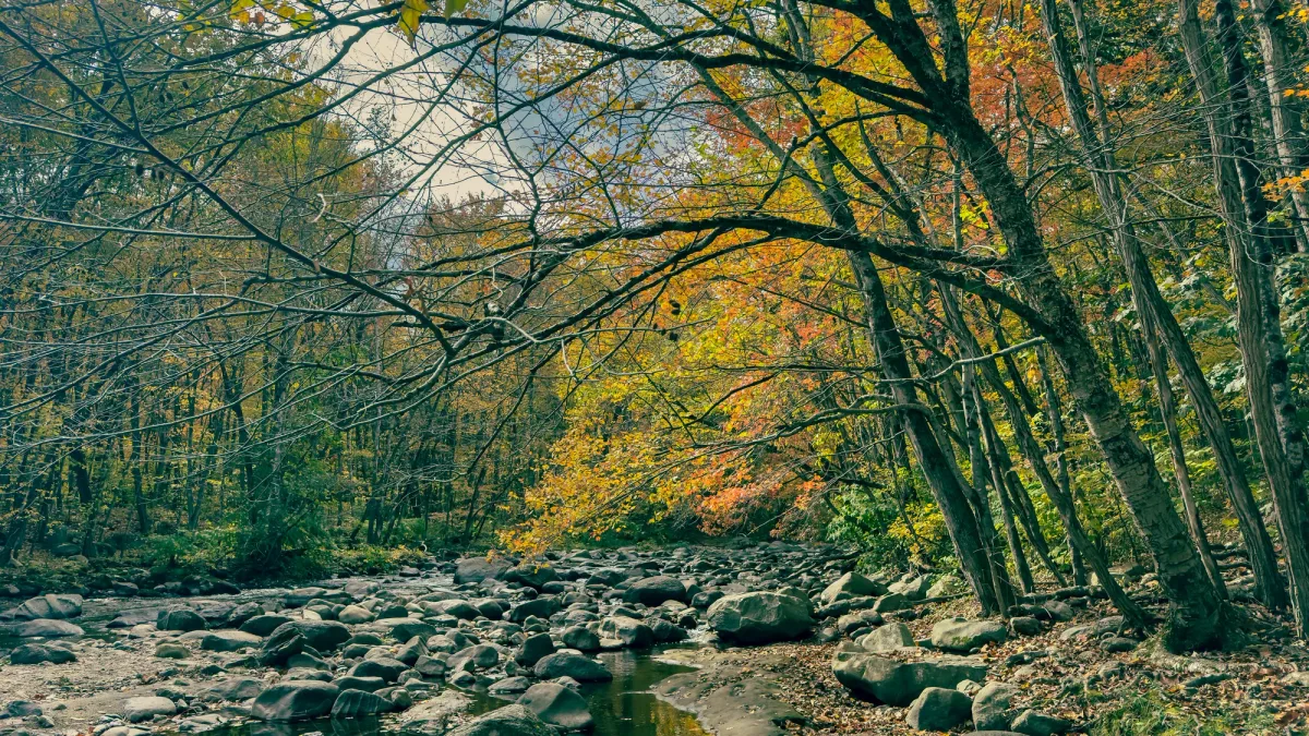 Mill River, Florence, MA